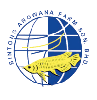bintong arowana - logo